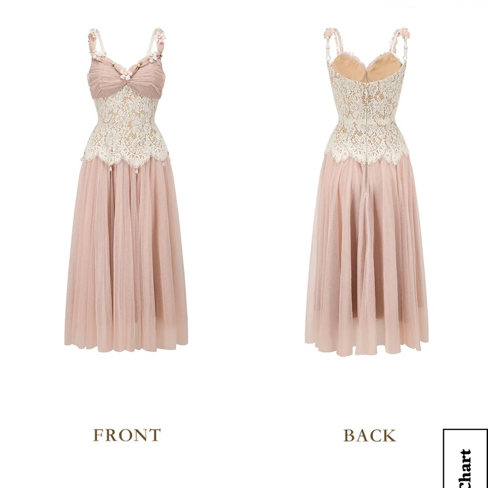 Delicate Flower-Embellished Lace Corset Dress in Blush - Picture 3 of 7